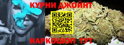 амф Бийск