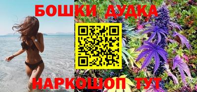 амф Бийск