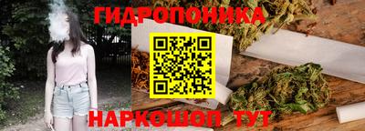 амф Бийск