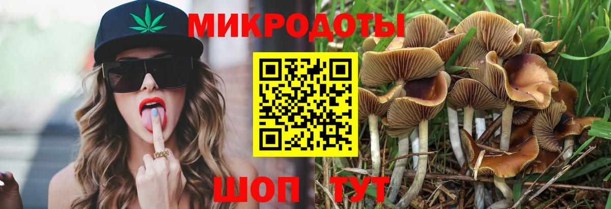 Златоуст  Галлюциногенные грибы Psilocybine cubensis  Вход с VPN 