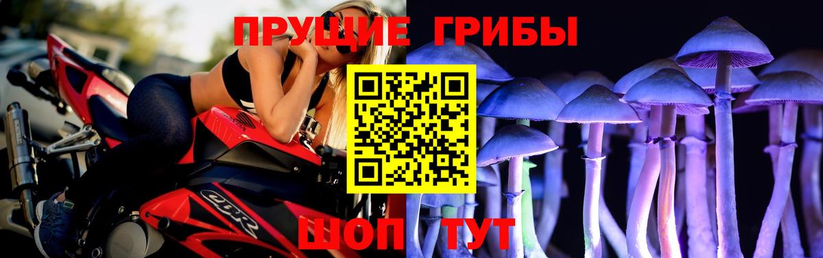 Галлюциногенные грибы Psilocybine cubensis Златоуст